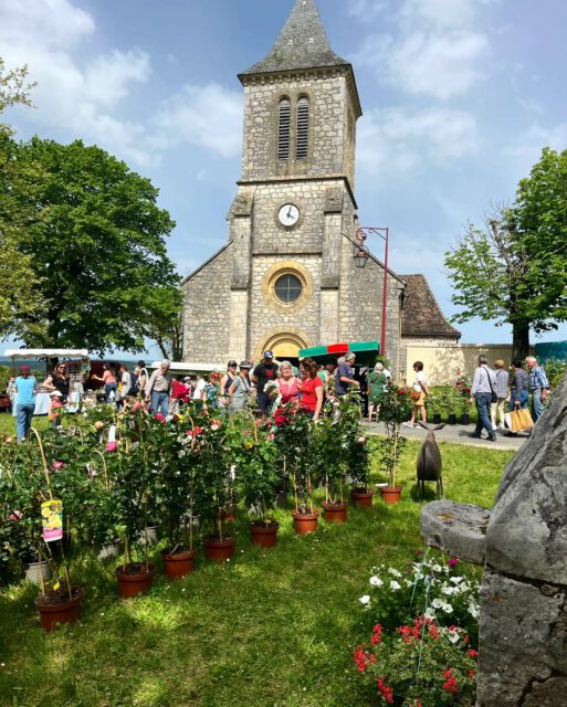 Maiglöckchen, Glücksbringer am 1. Mai: In Frankreich verschenkt man sie als Zeichen der Zuneigung – auch auf dem kleinen Markt in Calès blühte die Tradition auf.
.
J’espère que vous avez passé un bon 1er mai – plein de bonheur avec un brin de muguet !
.
.
.
#lecolombie #maiglöckchen #1mai #glücksbringer #frankreich #feriendomizil #urlaubinfrankreich #markttag #blumenmarkt #calès #frühlinginfrankreich #muguet #porteBonheur #vacancesenfrance #calès #marchélocal #printemps