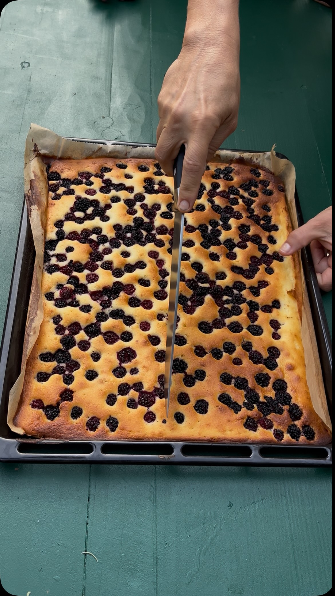 Et voilà… gâteau aux mûres du Colombié 🫐🍰
•
Les mûres viennent directement du Colombié et les œufs de nos poules. 
•
•
•
#LeColombié #Dordogne #farmtotable #gitedefrance #slowliving
