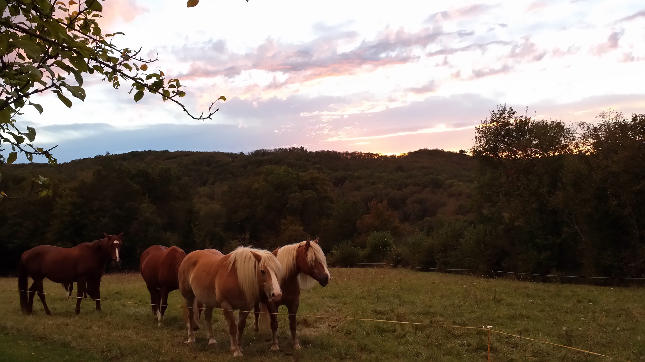 Pferde_reiten_lecolombie