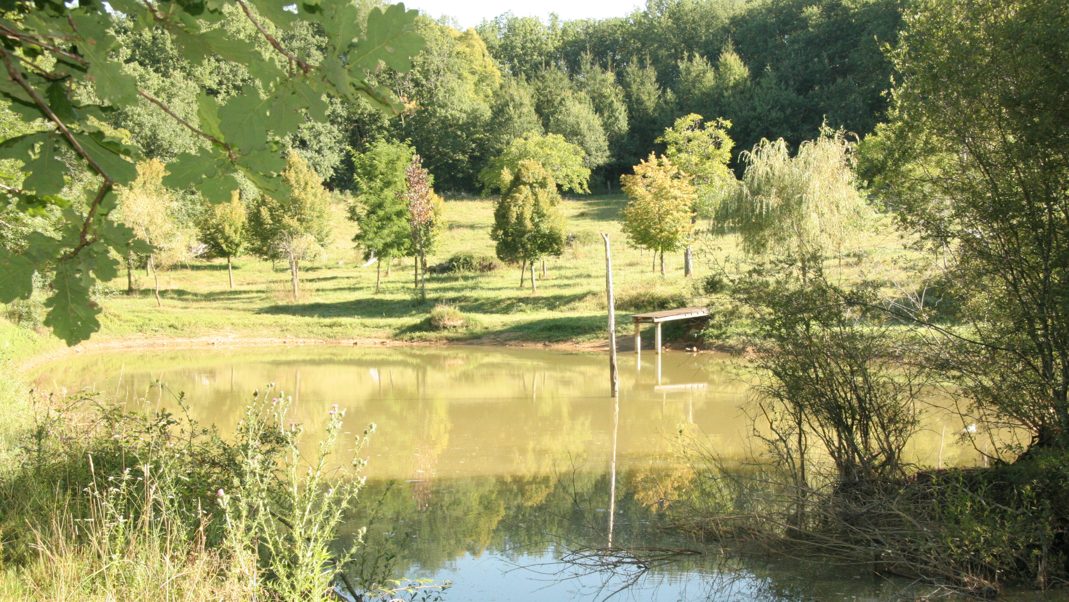 badeteich_lecolombie