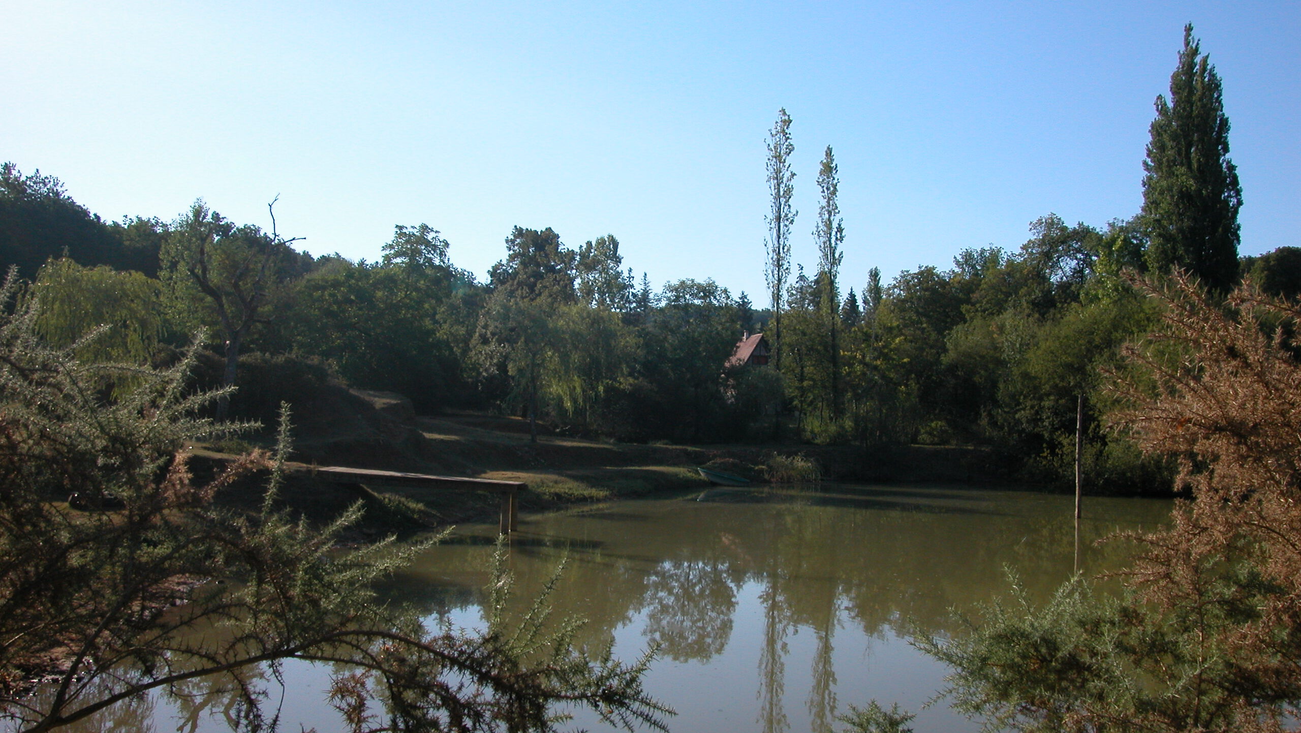 Angel- und Badeteich