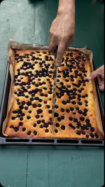 Et voilà… gâteau aux mûres du Colombié 🫐🍰
•
Les mûres viennent directement du Colombié et les œufs de nos poules.
•
•
•
#LeColombié #Dordogne #farmtotable #gitedefrance #slowliving