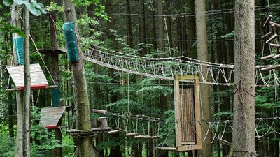 La forêt des écureuils