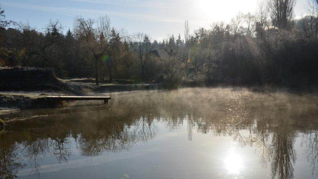 Teich-im-Nebel-Kopie
