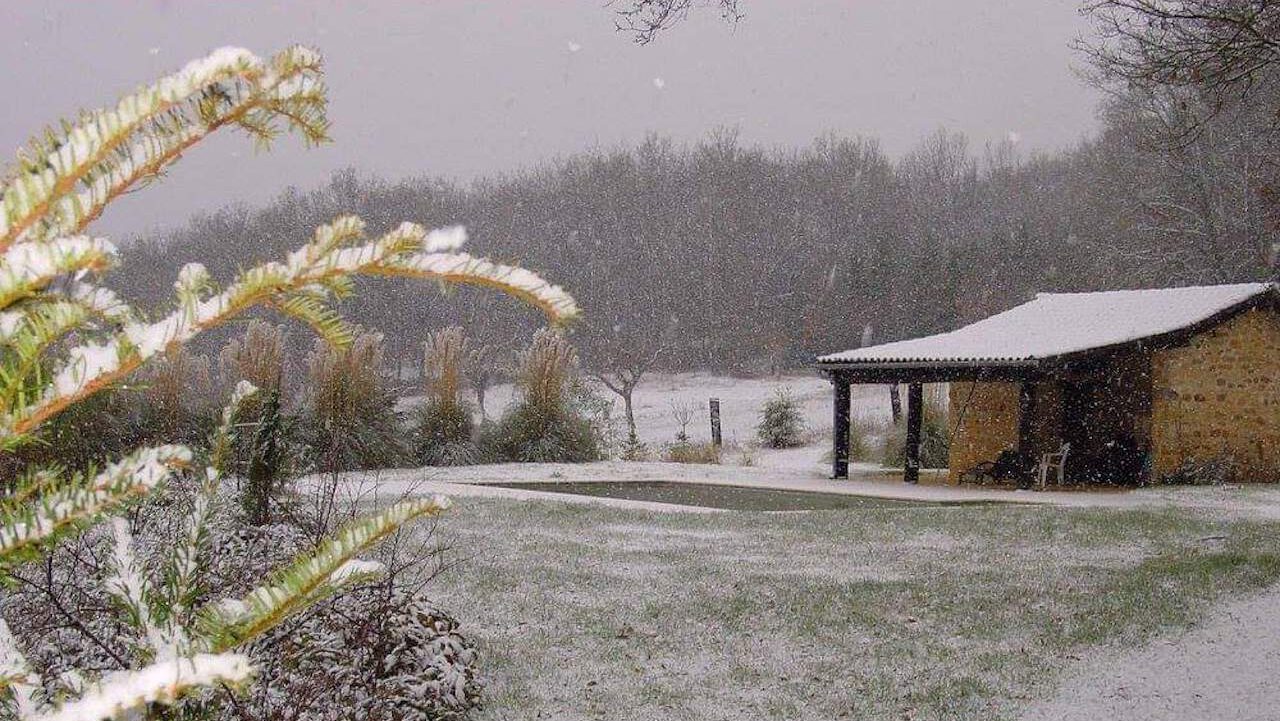 FB_IMG_1596910138686