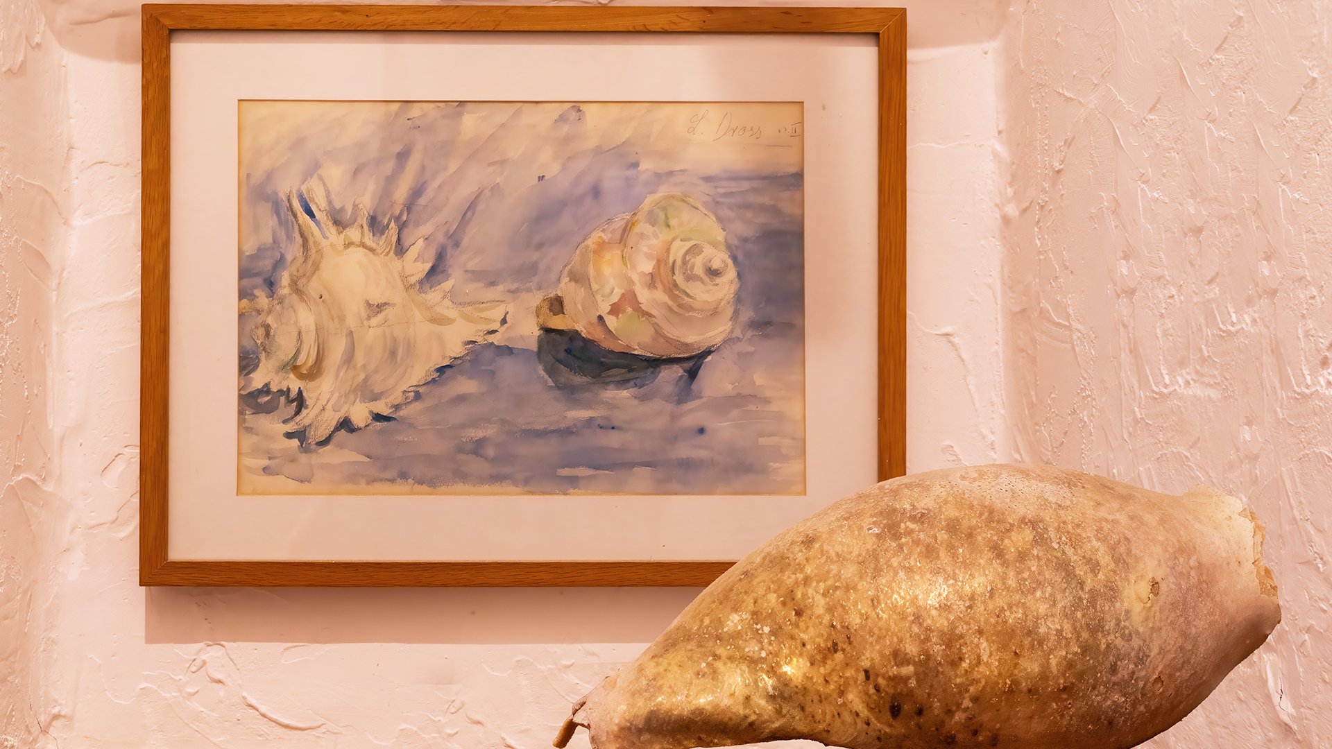 Bild im Fischerhaus mit Muschel