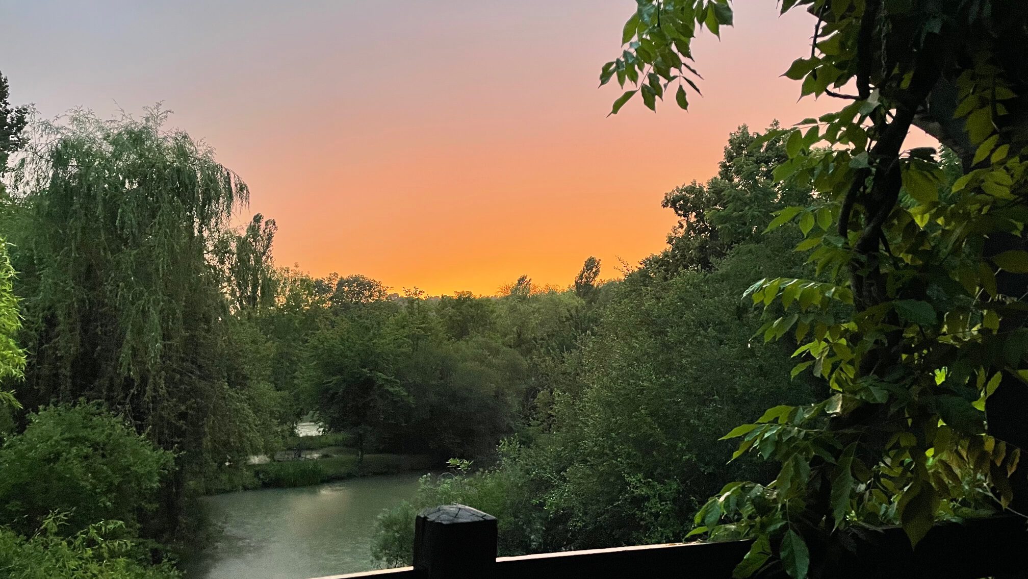 Blick vom Balkon auf die Teiche
