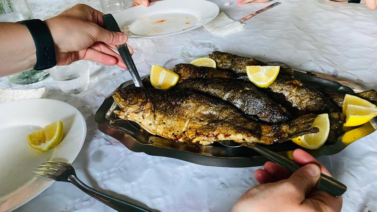 Alle Fotos - 1 von 1 (22)