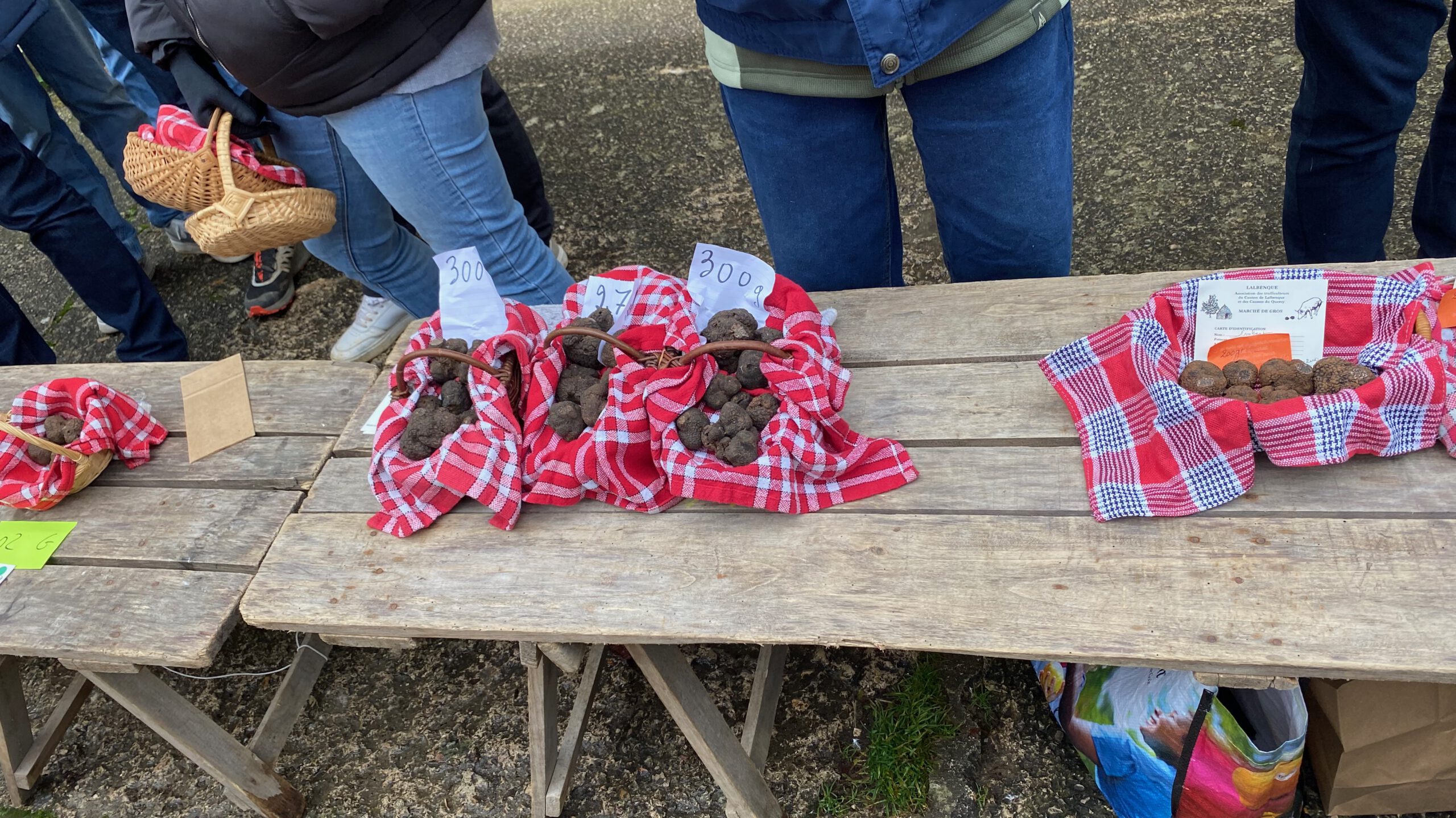 Alle Fotos - 1 von 1 (25)