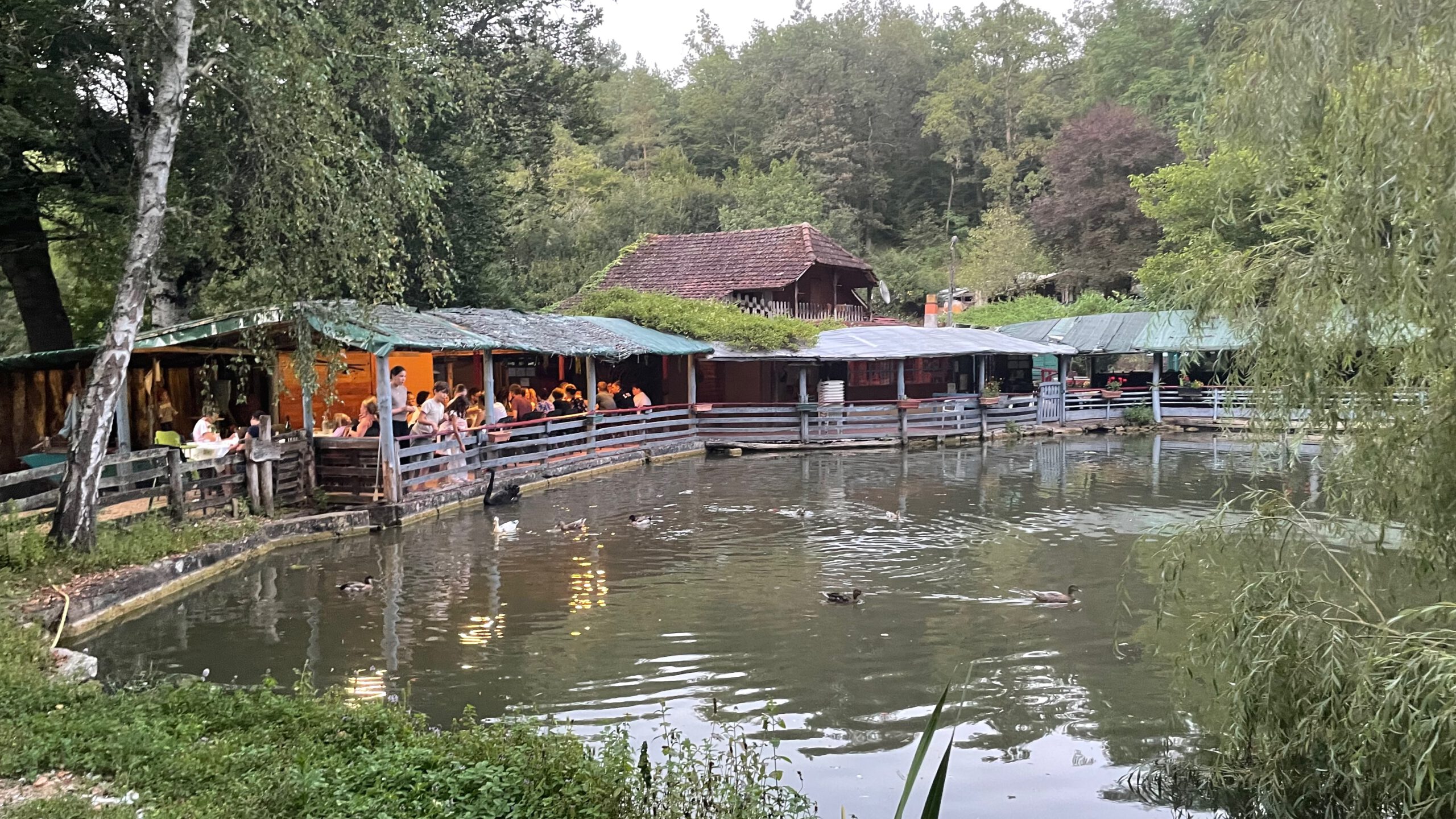 Masclat - 1 von 1 (1)