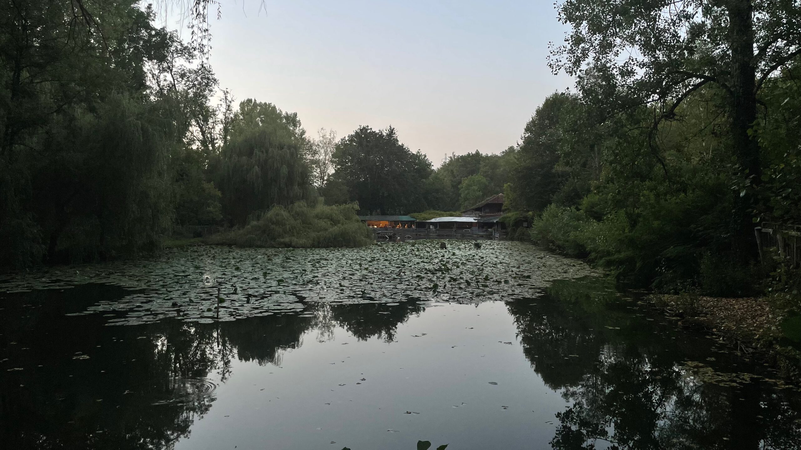 Masclat - 1 von 1 (2)