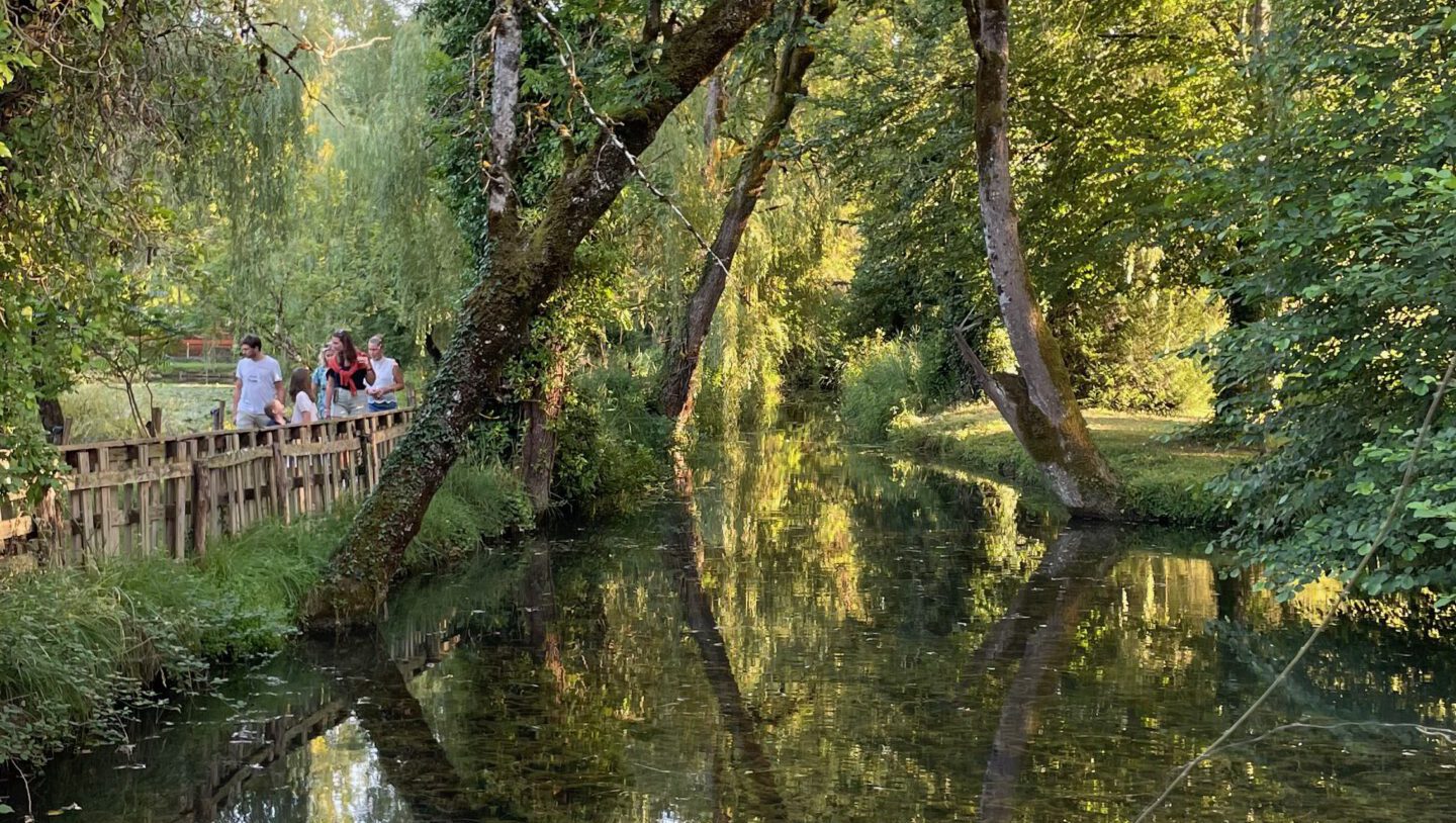 Masclat - 1 von 1 (4)