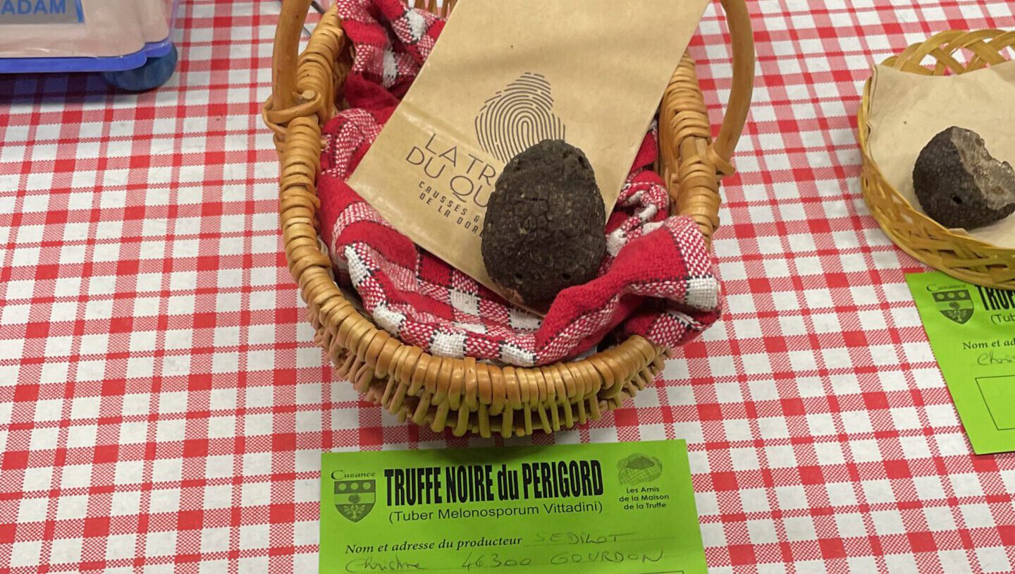 Ohne Titel - 1 von 1 (2)