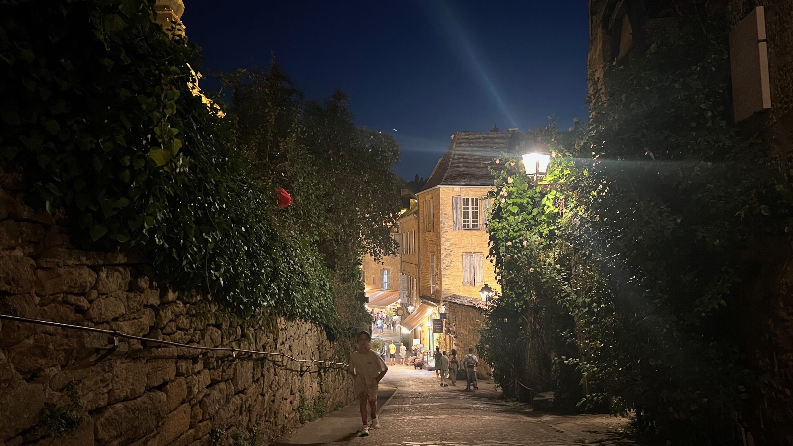 Alle Fotos - 1 von 1