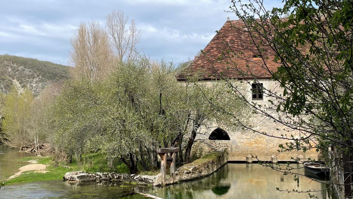 Alle Fotos - 1 von 1