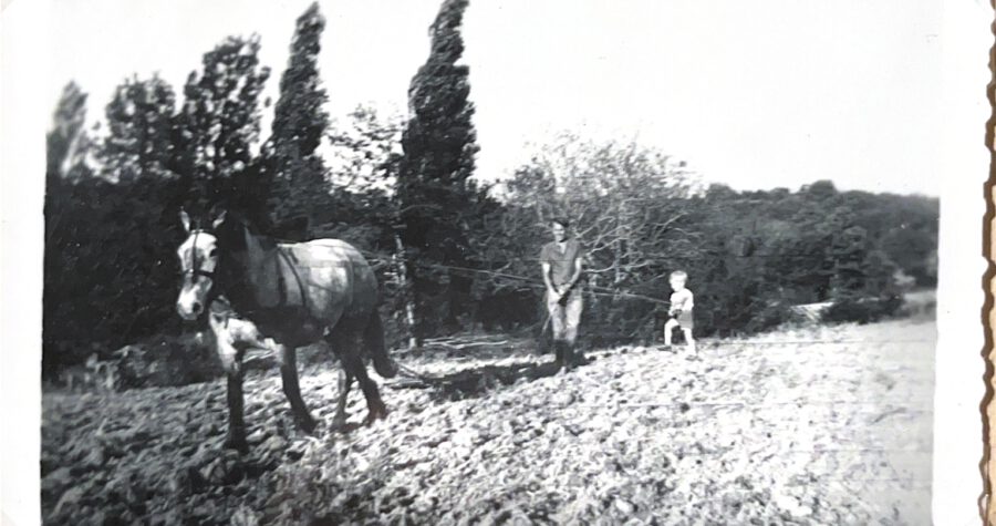 Gescannte Dokumente-5_260112_090701_1