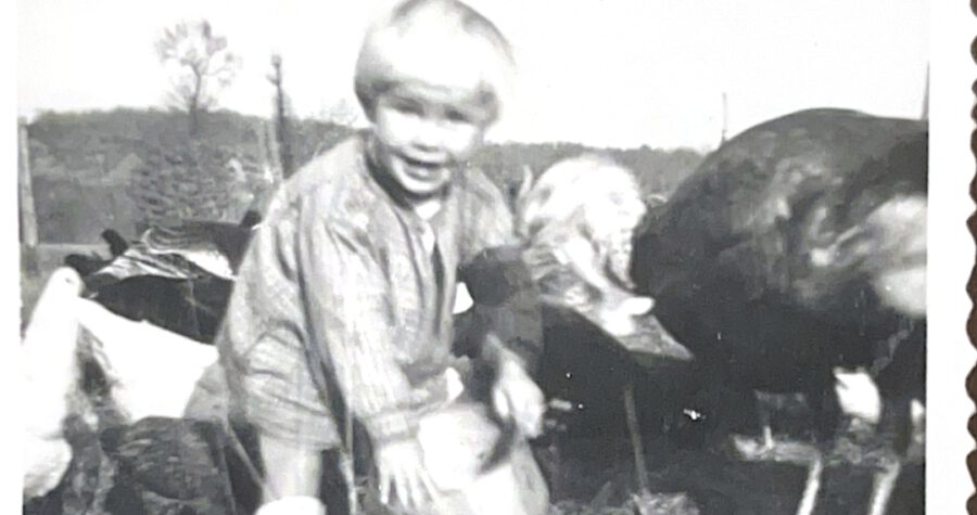 Gescannte Dokumente-5_260112_090701_5