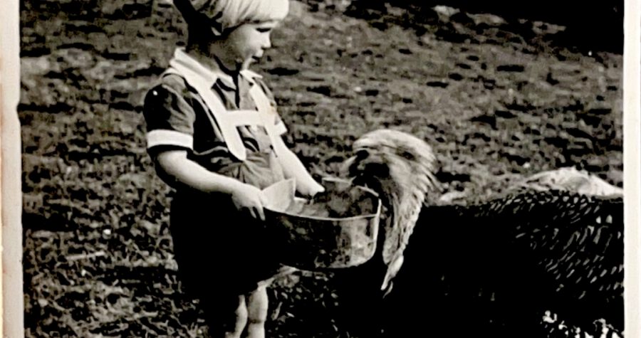 Gescannte Dokumente-5_260112_090701_7