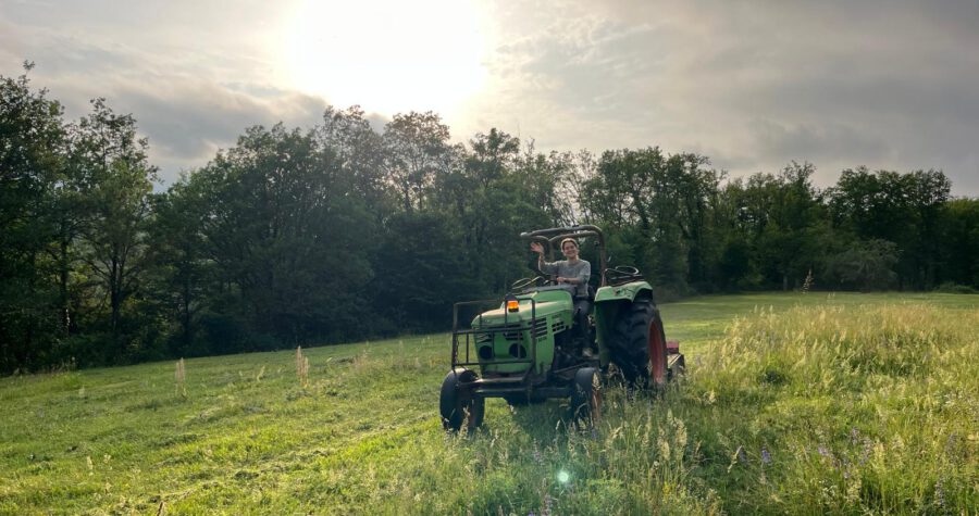 WhatsApp Image 2026-01-31 at 16.00.57