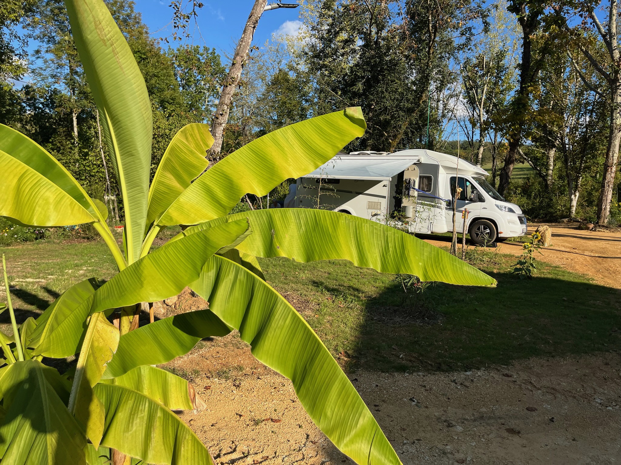 Camping