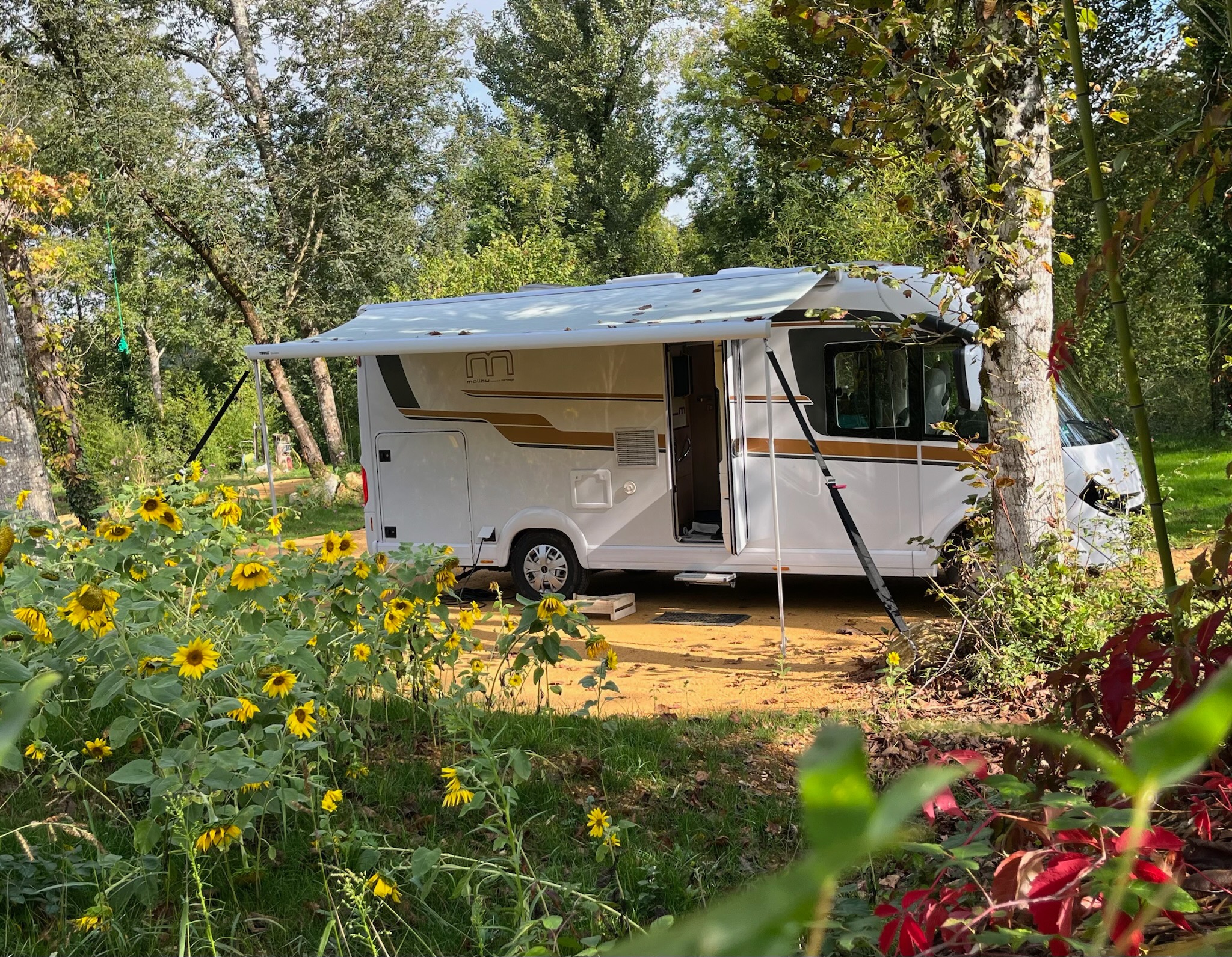 Camping